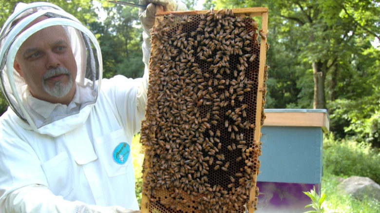 Beekeeper with frame